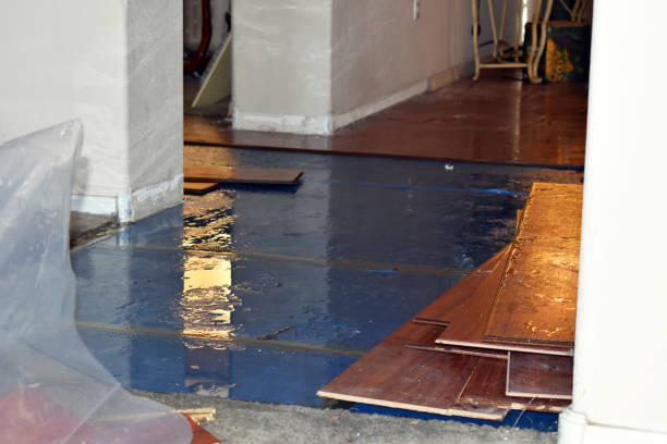 Professional Basement Flood Cleanup technician working in Ellinger, TX